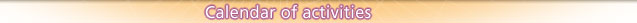Calendar of activities